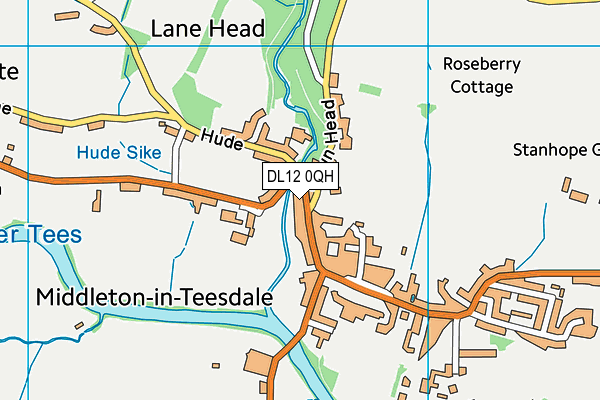 DL12 0QH map - OS VectorMap District (Ordnance Survey)