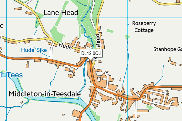 DL12 0QJ map - OS VectorMap District (Ordnance Survey)