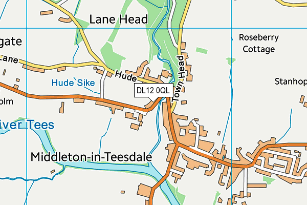 DL12 0QL map - OS VectorMap District (Ordnance Survey)