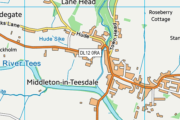 DL12 0RA map - OS VectorMap District (Ordnance Survey)