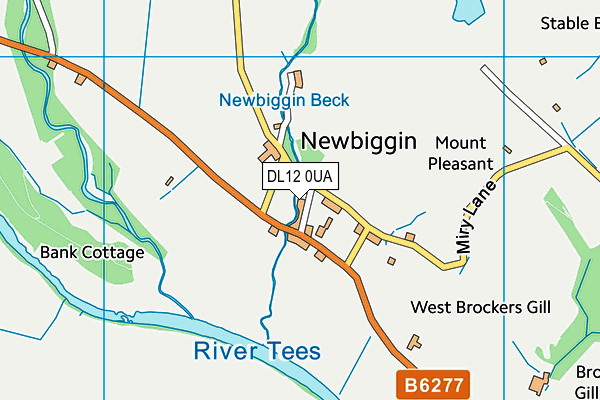 DL12 0UA map - OS VectorMap District (Ordnance Survey)