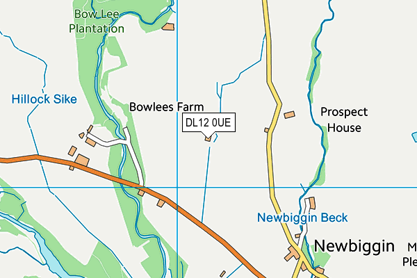 DL12 0UE map - OS VectorMap District (Ordnance Survey)