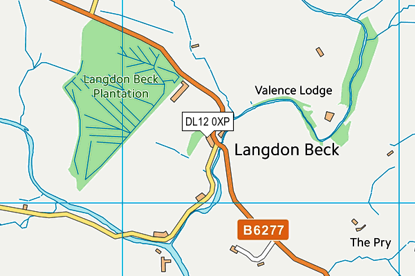 DL12 0XP map - OS VectorMap District (Ordnance Survey)