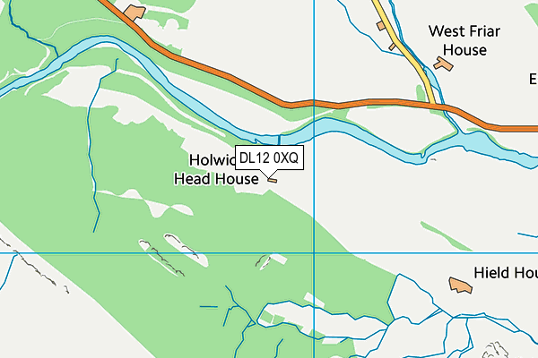 DL12 0XQ map - OS VectorMap District (Ordnance Survey)