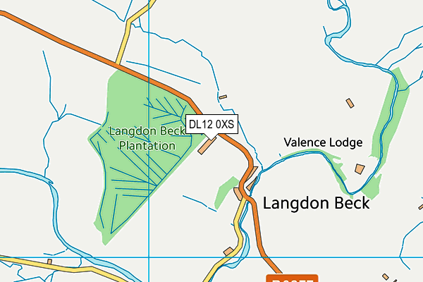 DL12 0XS map - OS VectorMap District (Ordnance Survey)