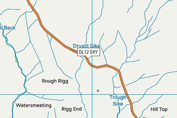 DL12 0XY map - OS VectorMap District (Ordnance Survey)