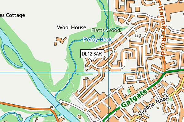 DL12 8AR map - OS VectorMap District (Ordnance Survey)