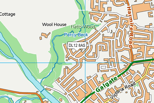 DL12 8AS map - OS VectorMap District (Ordnance Survey)