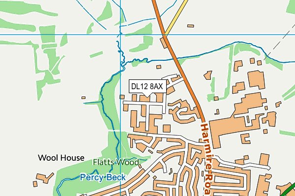 DL12 8AX map - OS VectorMap District (Ordnance Survey)