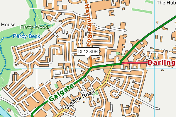 DL12 8DH map - OS VectorMap District (Ordnance Survey)