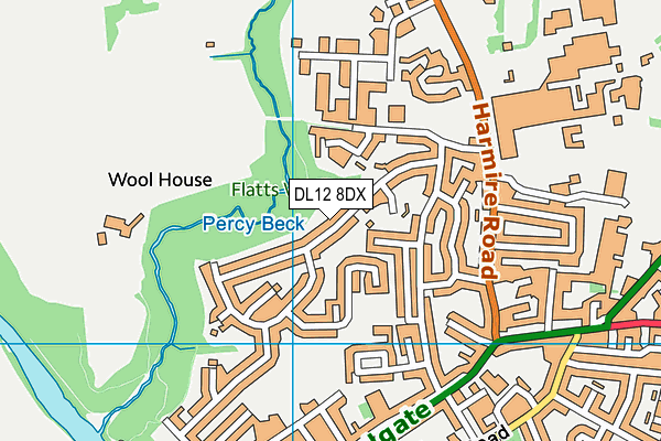 DL12 8DX map - OS VectorMap District (Ordnance Survey)