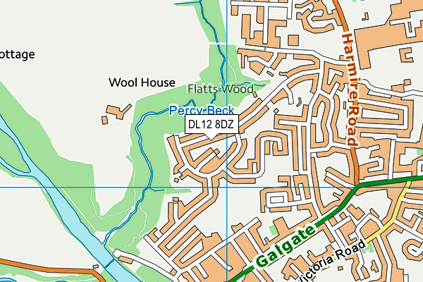 DL12 8DZ map - OS VectorMap District (Ordnance Survey)