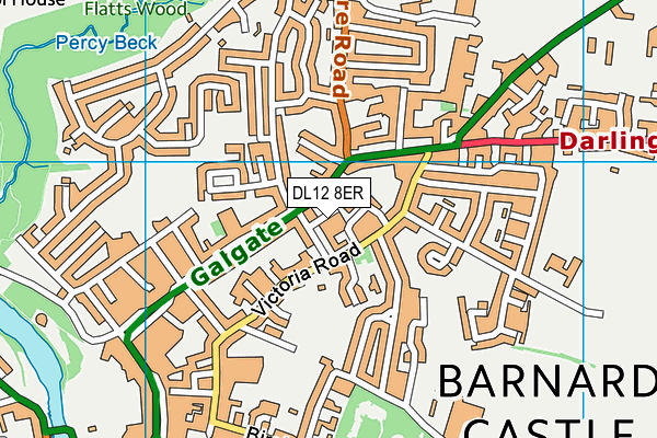 DL12 8ER map - OS VectorMap District (Ordnance Survey)