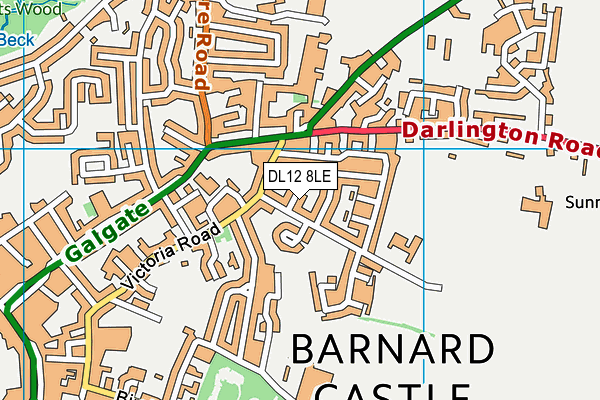 DL12 8LE map - OS VectorMap District (Ordnance Survey)