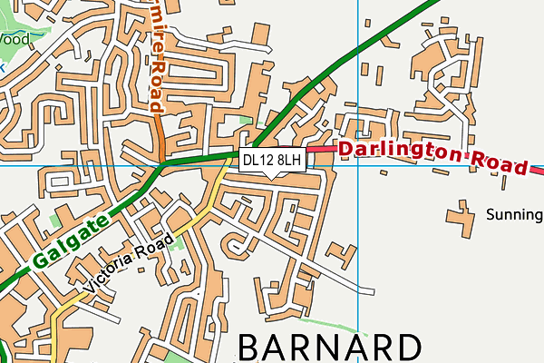 DL12 8LH map - OS VectorMap District (Ordnance Survey)