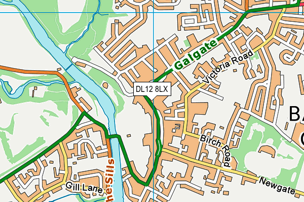 DL12 8LX map - OS VectorMap District (Ordnance Survey)