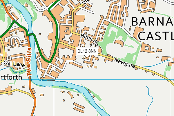 DL12 8NN map - OS VectorMap District (Ordnance Survey)