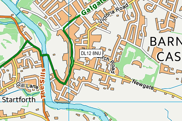 DL12 8NU map - OS VectorMap District (Ordnance Survey)