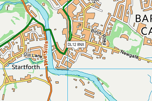 DL12 8NX map - OS VectorMap District (Ordnance Survey)