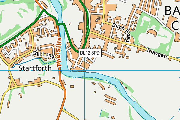 DL12 8PD map - OS VectorMap District (Ordnance Survey)