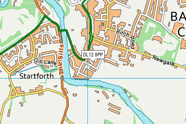 DL12 8PP map - OS VectorMap District (Ordnance Survey)