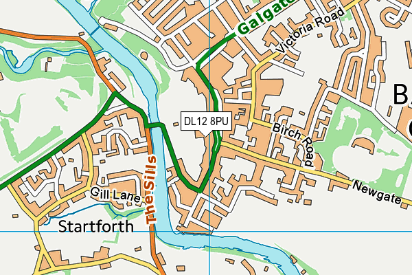 DL12 8PU map - OS VectorMap District (Ordnance Survey)