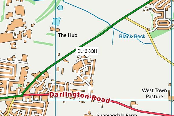 DL12 8QH map - OS VectorMap District (Ordnance Survey)