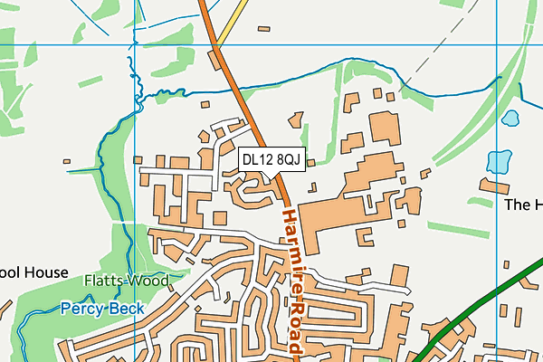DL12 8QJ map - OS VectorMap District (Ordnance Survey)