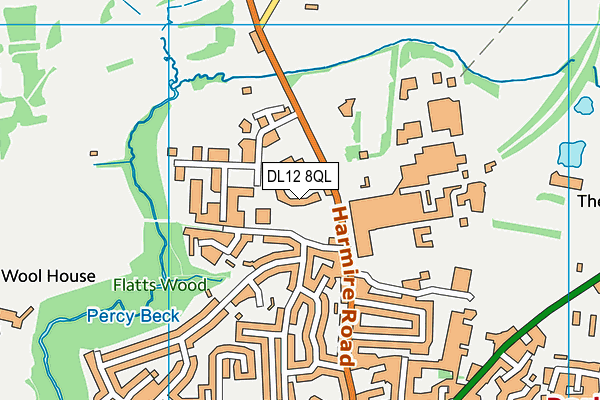 DL12 8QL map - OS VectorMap District (Ordnance Survey)