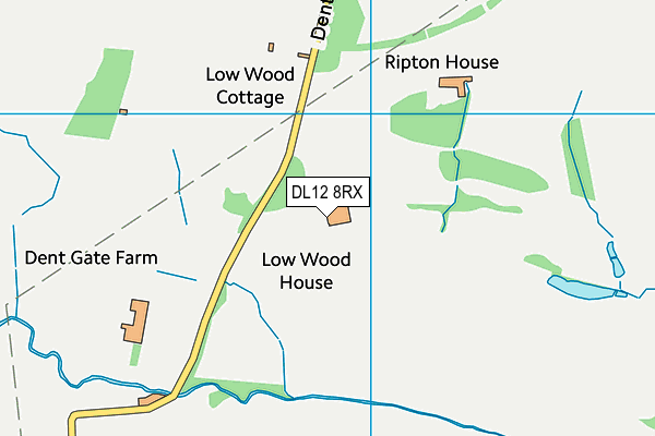 DL12 8RX map - OS VectorMap District (Ordnance Survey)