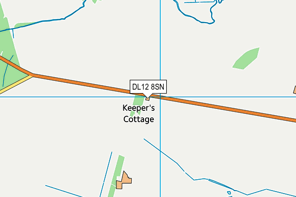 DL12 8SN map - OS VectorMap District (Ordnance Survey)