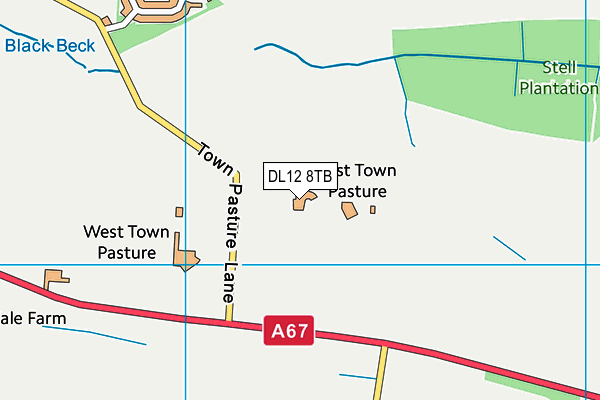 DL12 8TB map - OS VectorMap District (Ordnance Survey)