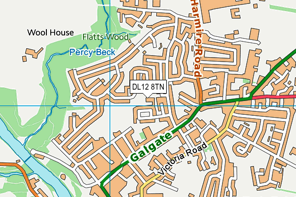 DL12 8TN map - OS VectorMap District (Ordnance Survey)
