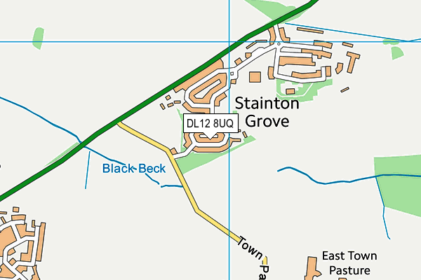 DL12 8UQ map - OS VectorMap District (Ordnance Survey)