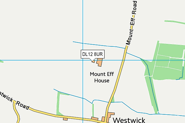 DL12 8UR map - OS VectorMap District (Ordnance Survey)