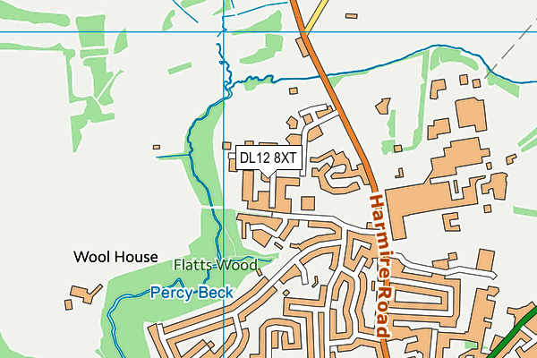 DL12 8XT map - OS VectorMap District (Ordnance Survey)