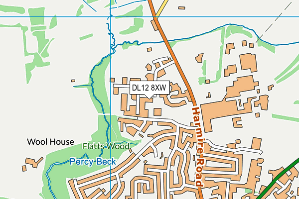 DL12 8XW map - OS VectorMap District (Ordnance Survey)