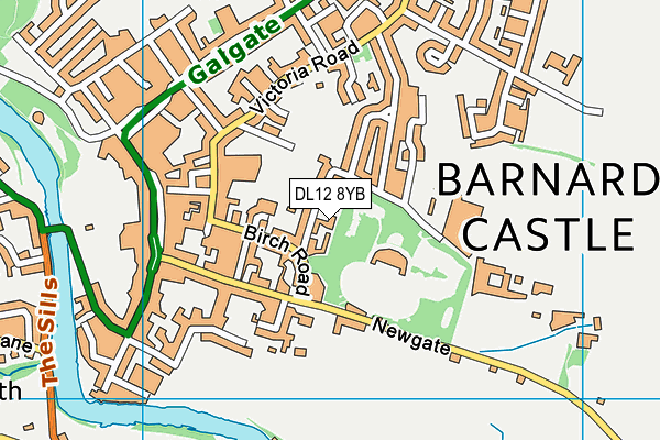 DL12 8YB map - OS VectorMap District (Ordnance Survey)