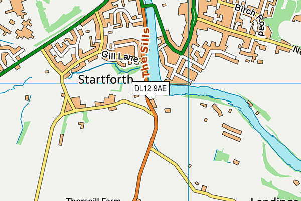 DL12 9AE map - OS VectorMap District (Ordnance Survey)