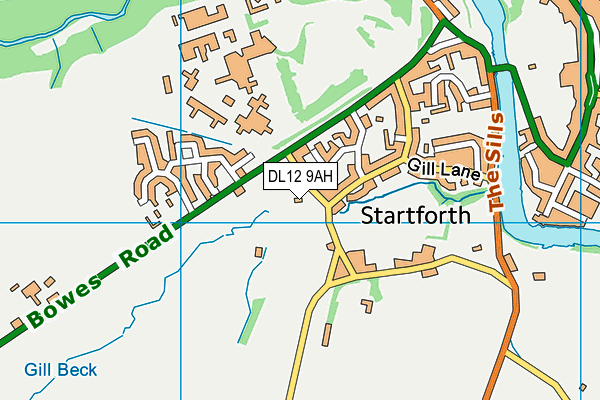 DL12 9AH map - OS VectorMap District (Ordnance Survey)