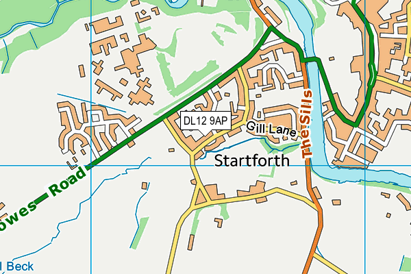 DL12 9AP map - OS VectorMap District (Ordnance Survey)