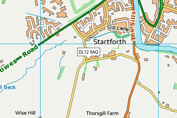 DL12 9AQ map - OS VectorMap District (Ordnance Survey)