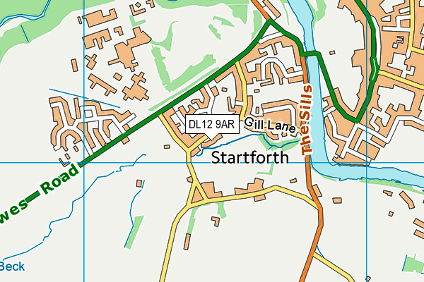 DL12 9AR map - OS VectorMap District (Ordnance Survey)
