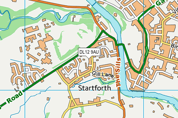 DL12 9AU map - OS VectorMap District (Ordnance Survey)