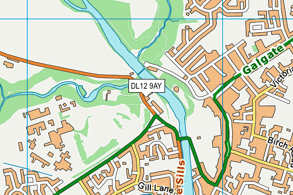 DL12 9AY map - OS VectorMap District (Ordnance Survey)