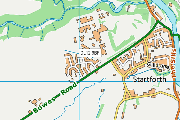 DL12 9BF map - OS VectorMap District (Ordnance Survey)