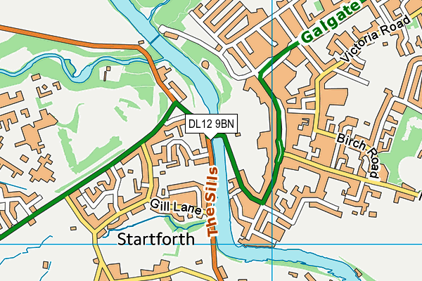 DL12 9BN map - OS VectorMap District (Ordnance Survey)