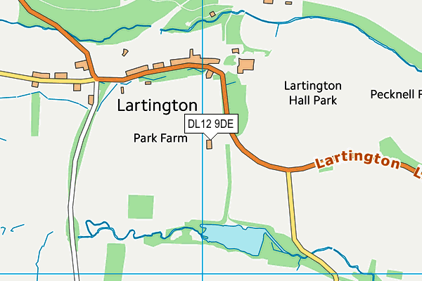 DL12 9DE map - OS VectorMap District (Ordnance Survey)