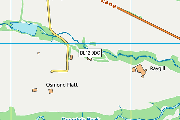 DL12 9DG map - OS VectorMap District (Ordnance Survey)