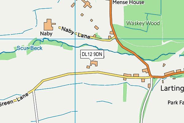 DL12 9DN map - OS VectorMap District (Ordnance Survey)